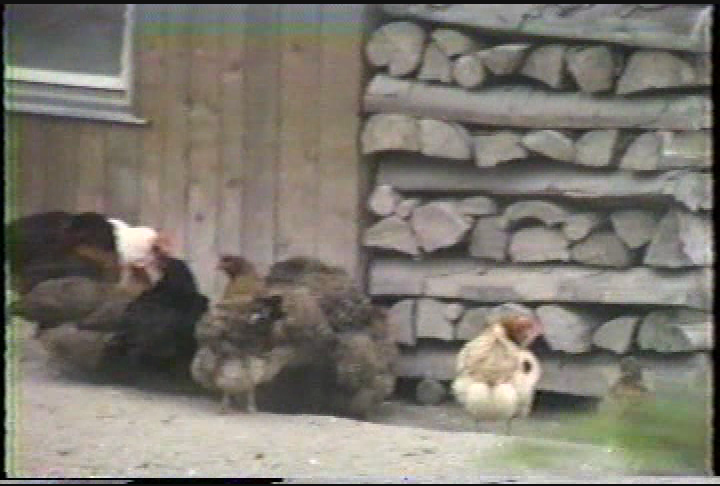 Thumbnail image for Travels with the Stephensons: Europe by Train Dachau Germany Museum and Grounds Ski Resort