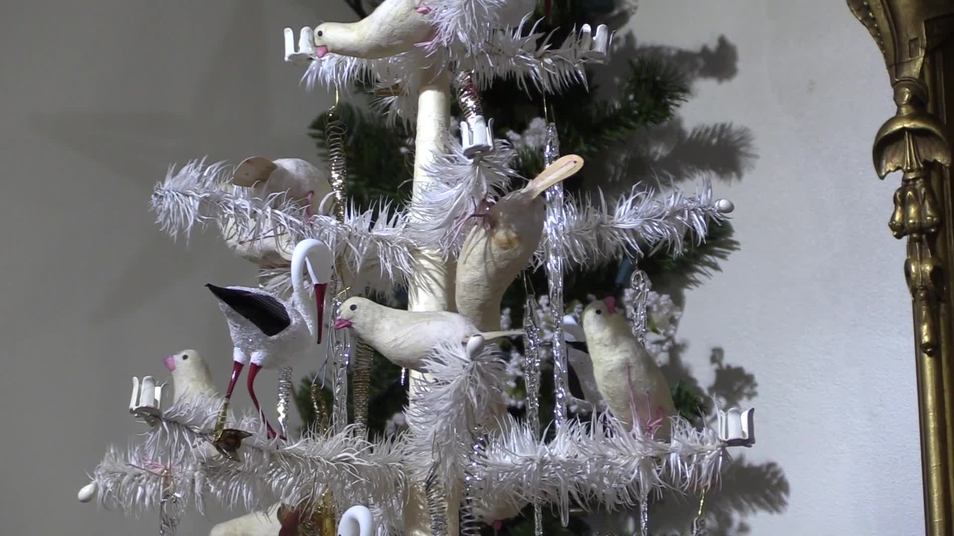 Thumbnail image for Curators Chat Creating Feather Trees