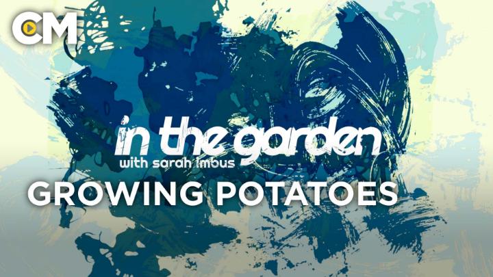 Thumbnail image for In The Garden: Growing Potatoes